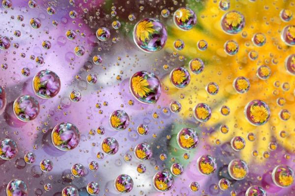 Bubbles abstract with flowers